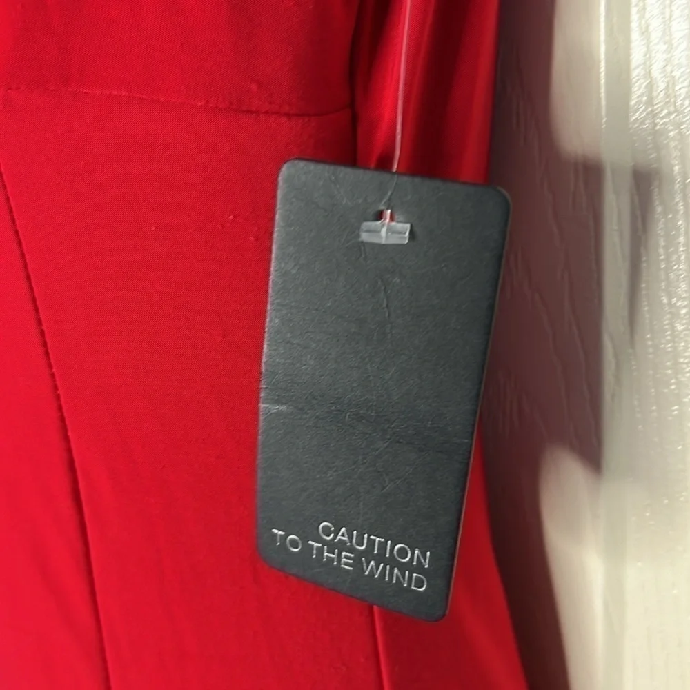 Caution to the Wind and red stretch cap sleeve dress - Picture 8 of 12